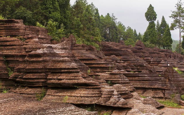 抖音月付怎么套出_花呗可用商家减少