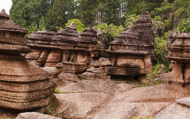 医保卡里钱能取出来吗_抖音月付商家在哪