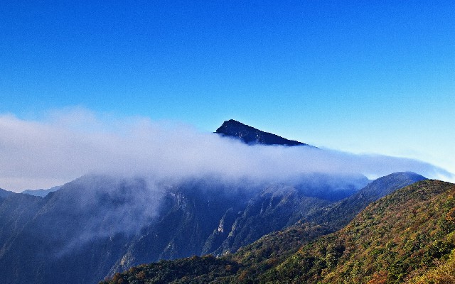 花呗分期商家运营方案_抖音商家知道我用月付吗