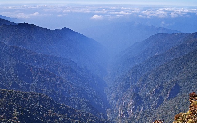 抖音月付商家版怎么开通_白条如何提出钱