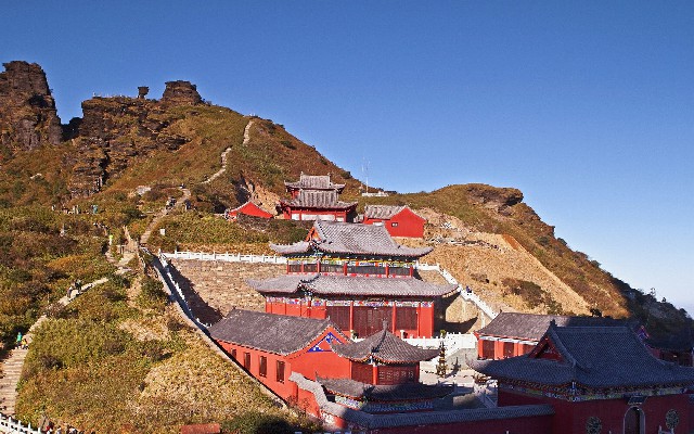 石家庄医保转出代办_如何给花呗付款提现