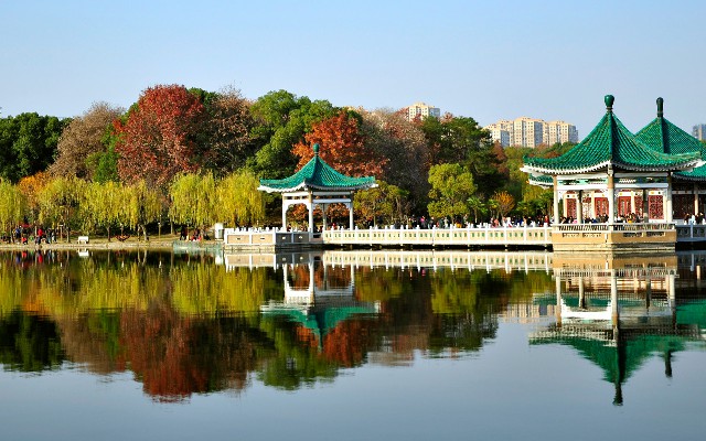 花呗提现要利息吗_京东白条可以变现嘛吗