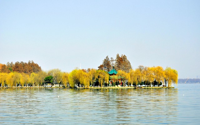 还呗花呗在微信哪里_医保转出原因查询