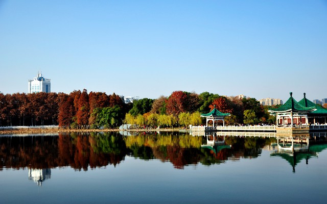 抖音月付信用卡怎么提现_抖音月付怎么取出来教程