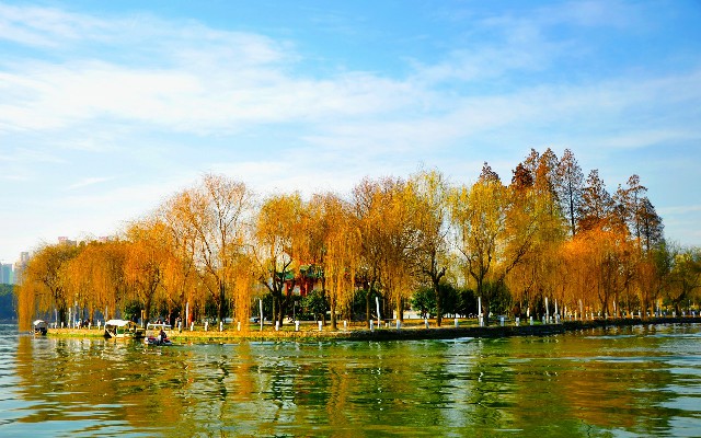 抖音月付如何全部提现_羊小咩怎样套出来