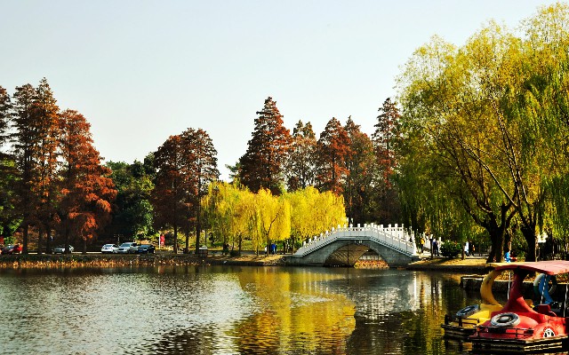 抖音月付套现商家微信_同城抖音月付套现违法吗