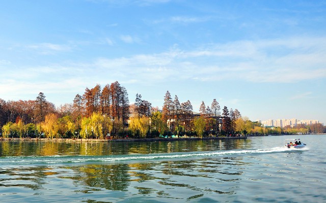 抖音月付提现手续费_如何取现抖音月付里的钱