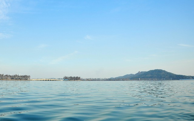 如何在京东白条赚钱提现_白条提现的商家安安