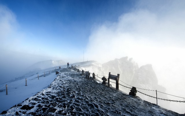羊小咩享花卡提现步骤_京东白条提现不能提