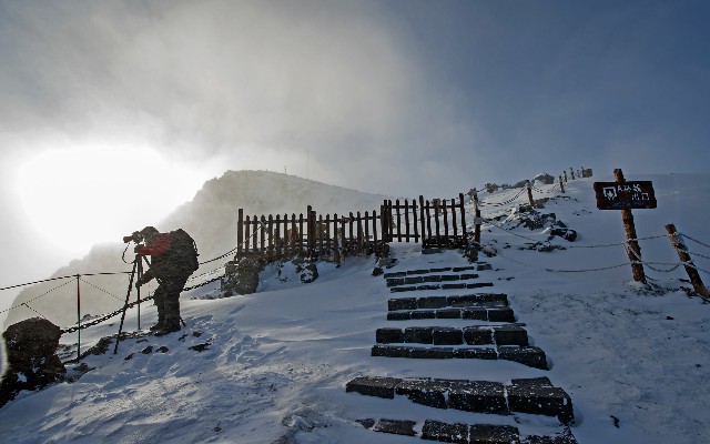 京东白条如何取现没有了_白条用套现