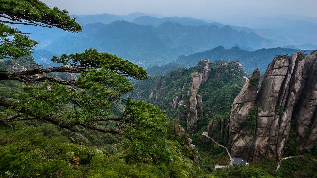 抖音月付淘宝套现_羊小咩出库秒的商家