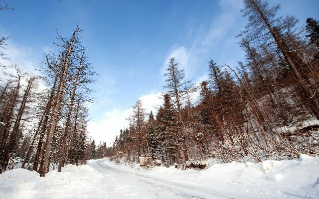 花呗怎么添加微信支付_长春抖音月付商铺套现怎么样
