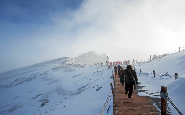 白条套现商家 违法_商家抖音月付手续费多少