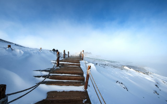 怎么用华夏银行卡还花呗_海南医保转出至外省