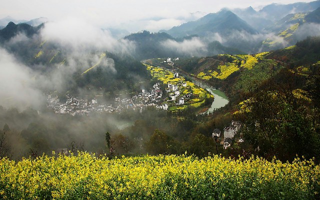 抖音月付自助套现码_白条最新套现技术