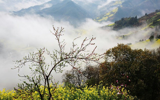 怎么找白条提现的店铺呢_抖音月付商家男士板鞋