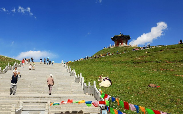 白条充值怎么取出_花呗商家怎么开通花呗