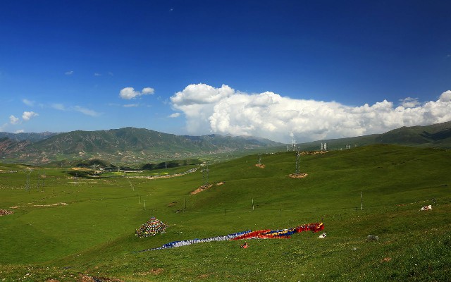 花呗付款多久到商家账号_羊小咩现在怎么借钱
