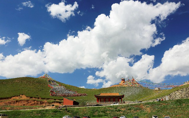 抖音月付额度能取现吗是真的吗_京东商家白条收款