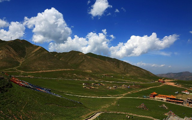 商家花呗收款怎么查看_羊小咩套现被骗咋办