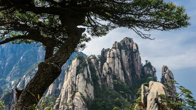 2018如何白条套现_羊小咩现在怎么样了