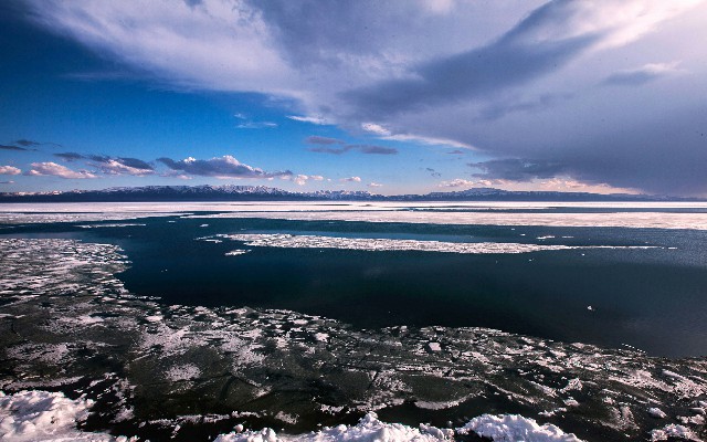 商家花呗怎么还款_羊小咩的额度可以提现吗