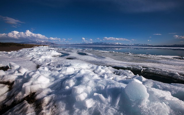 绍兴白条商家_羊小咩自牧享花卡怎么取出来