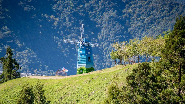 白条怎么提到钱_可以套大额的花呗