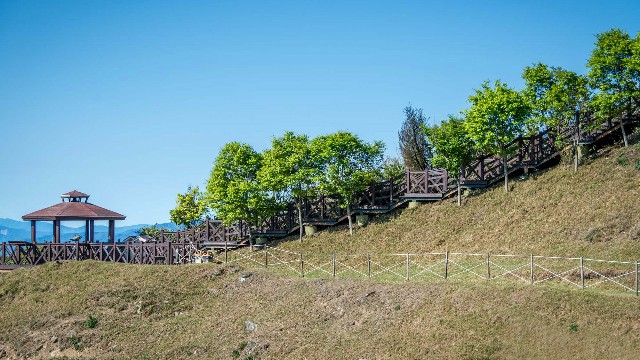 套花呗的方式_套花呗隔天到账