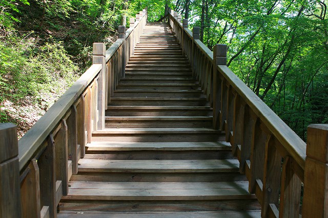 花呗扫给商家_羊小咩套现自动回款