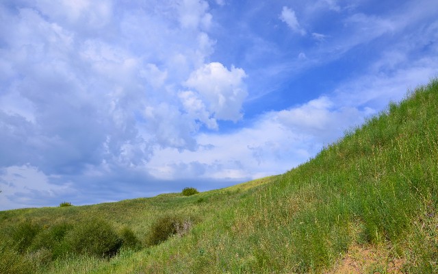 怎样自己套现花呗_抖音月付商家的钱在哪