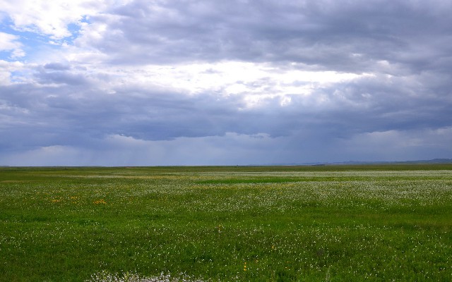 淄博医保转出_附近白条兑现商家