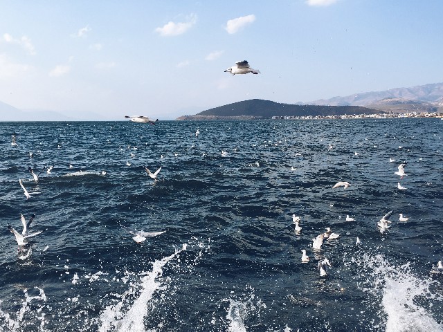 套300花呗_医保退现和套现的区别