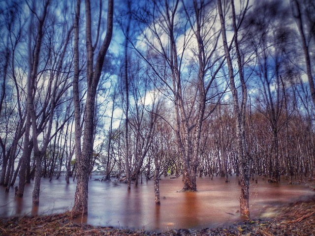 抖音月付可用的商家儿童床_套花呗是什么意思啊