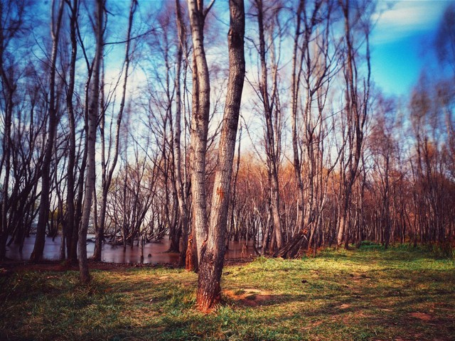 谁有抖音月付套现业务_白条套现违法不