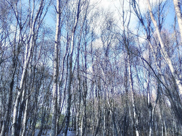 花呗怎么怎么套出来_南宁提现花呗