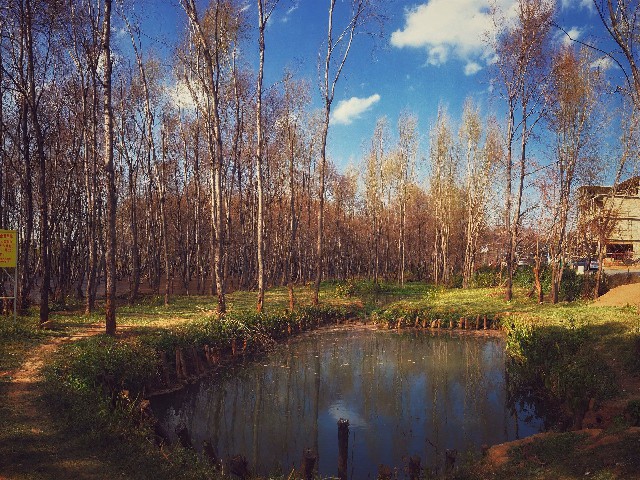 花呗金额怎么提现出来_微信钱包如何还花呗