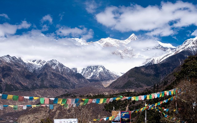 羊小咩逾期过还会提额吗_京东白条套装商家