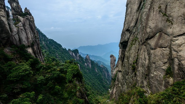 羊小咩提现稳了吗_四川医保套现号码