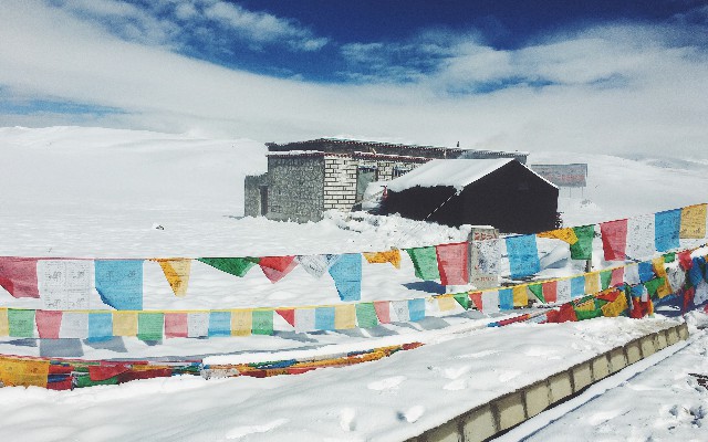 花呗 提现金 被骗_支付宝花呗的升级商家版