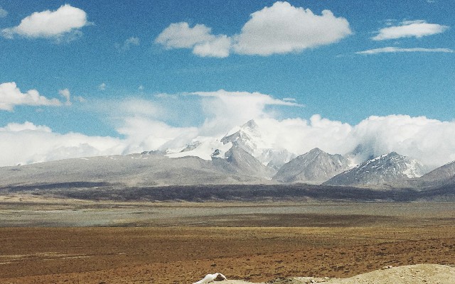 商家收款码无法花呗支付_花呗取现金