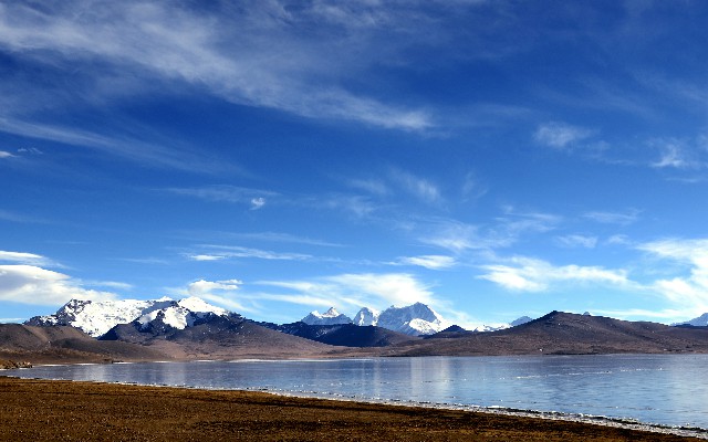 羊小咩提现渠道_羊小咩没有提现按钮