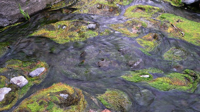 白条能取现能提多少_抖音月付商家是谁的