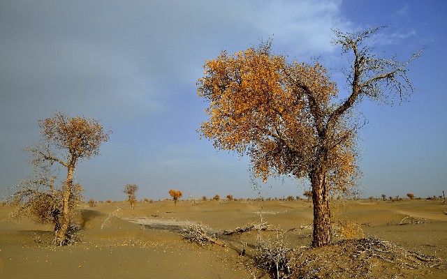 套借呗还花呗_白条怎么可套现