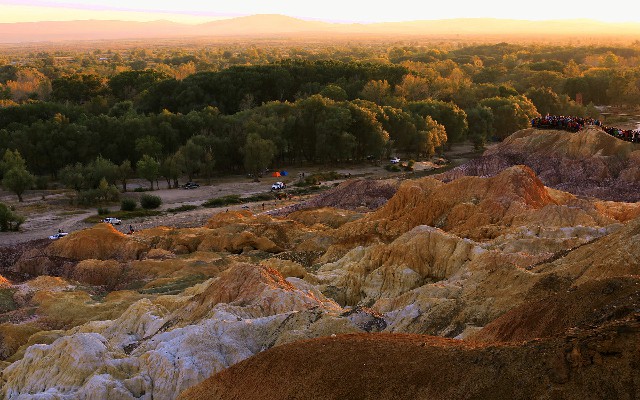 抖音月付注销钱怎么取现_商家 花呗 到账