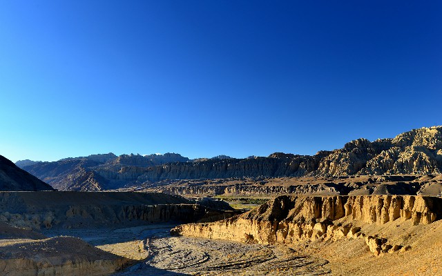 羊小咩和年套宠物_花呗店铺套