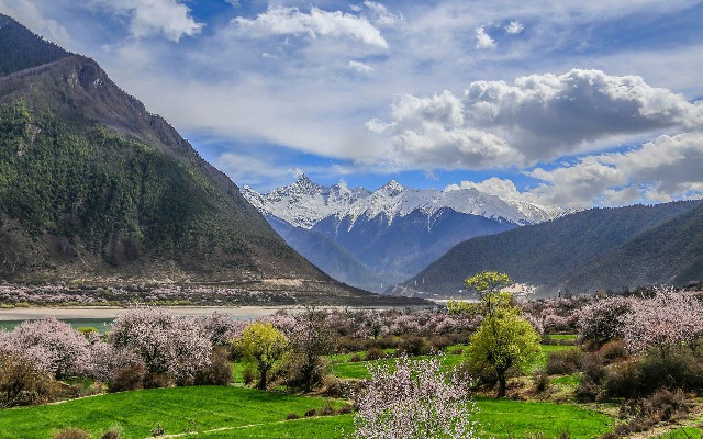 借呗花呗分期给商家_微信花呗账号