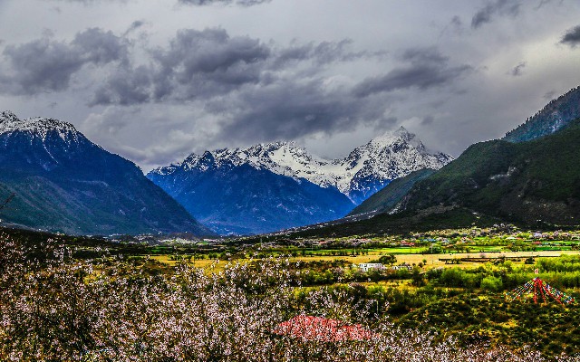 泉州白条套现_郑州商家花呗