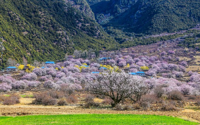 天津药店医保卡套现_白条店铺套现