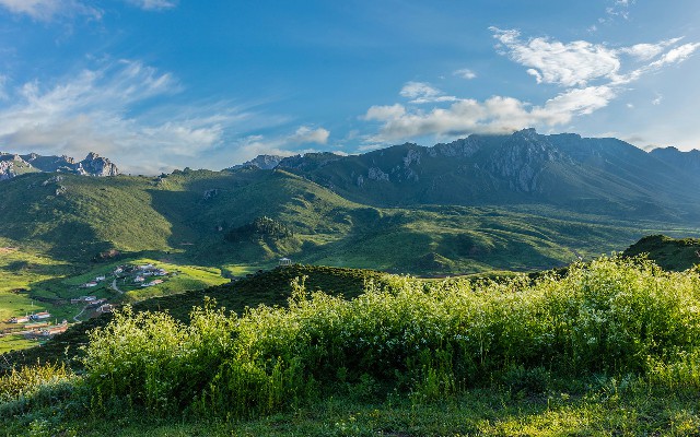 羊小咩出库怎么退单_羊小咩多久提额一次